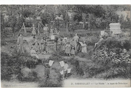 Delcampe - 78   Rambouillet  - La Ruche  -  La Lecon   De Botanique - Rambouillet