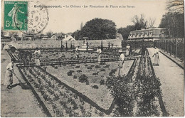 78   Rocquencourt  - Le Chateau  - Les Plantations  De Fleurs  Et Les Serres - Rocquencourt