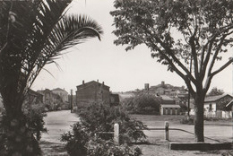 Delcampe - CPSM 83 COGOLIN VUE GENERALE - Cogolin