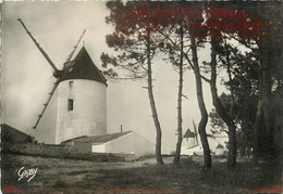 Delcampe - NOIRMOUTIER - La Guérinière, Les Moulins. - Molinos De Viento