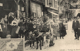 Delcampe - CARTE D'AUTREFOIS  TRANSPORTS ET COMMUNICATIONS  - PICARDIE  ATTELAGE DU PAUVRE - Picardie