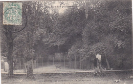 Delcampe - 85 Luçon. Au Jardin Paumaine - Lucon