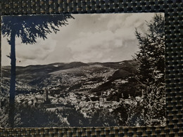 Delcampe - Carte MUNSTER Vue Sue Les Hauteurs - Munster