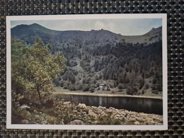 Delcampe - Carte MUNSTER MUNSTERTAL Foto Arnold Kolmar  SCHIESSROTRIED - Munster