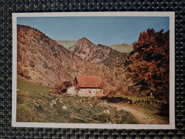 Delcampe - Carte MUNSTER MUNSTERTAL Foto Arnold Kolmar  Wormstal Mit Spitzkopfen Und Hohneck - Munster