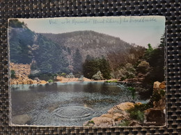 Delcampe - Carte MUNSTER Fischboedle Carte Photo - Munster