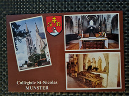 Delcampe - Carte MUNSTER  Collégiale Saint Nicolas - Munster