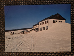 Delcampe - Carte MUNSTER  Chaume Des Trois Fours Restaurant Pension SCHOTT  En Hiver - Munster