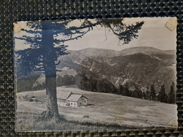 Delcampe - Carte MUNSTER  Schnepfenried - Munster