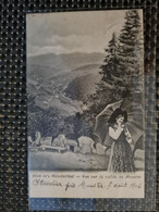 Delcampe - Carte MUNSTER  Vue Sur La Vallée Blick Alsacienne - Munster