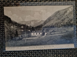 Delcampe - Carte MUNSTER  Forsthaus Herrenberg - Munster