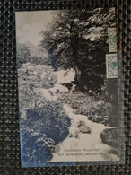 Delcampe - Carte MUNSTER Fischboedle Wasser Fall - Munster