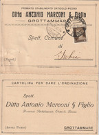 A108. Grottammare. 1934. Prezzario Della Ditta ANTONIO MARCONI & FIGLIO Per Ischia. ... STABILIMENTO ORTICOLO PICENO... - Italia