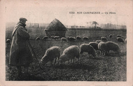 CPA Nos Campagnes - Un Patre - Berger Avec Ses Moutons - Farmers