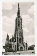 Delcampe - AK 077593 GERMANY - Ulm / Donau - Münster - Ulm