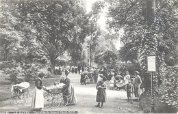 Le Havre - Une Allée Du Square Saint-Roch - Saint-Roch (Plein)