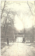 Le Havre - Forêt De Montjeon - Une Allée - Forêt De Montgeon