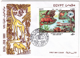 EGS30604 Egypt 1991 Illustrated FDC Giza Zoo 100 Years - Lettres & Documents