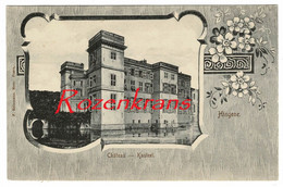 Delcampe - Hingene Bornem Kasteel Chateau - In Zeer Goede Staat - Bornem