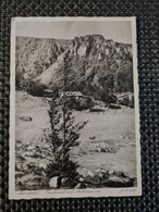 Delcampe - Carte MUNSTER  Munstertal Frankenthal Mit Martinowand - Munster