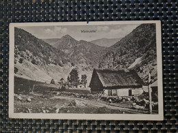 Delcampe - Carte MUNSTER  Wormsatal - Munster