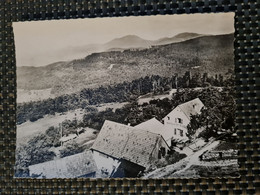 Delcampe - Carte MUNSTER Pension CHER SOLBERG Carte Photo - Munster