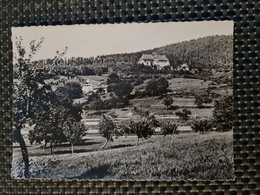 Delcampe - Carte MUNSTER Sanatorium SNCF Et Café Restaurant HASLACH - Munster