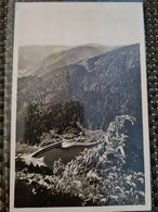 Delcampe - Carte MUNSTER Lac De SCHIESSROTRIED - Munster