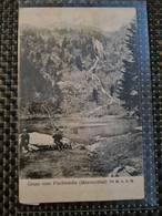 Delcampe - Carte MUNSTER Fischboedle Gruss - Munster