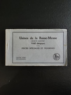 B 1269- Usine De La Basse Meuse Visé Carnet 13 Cartes Figurine - Wezet