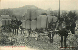 Mazamet * Industrie Lainière De La Commune * Le Départ Des Balles De Laines * Attelage - Mazamet