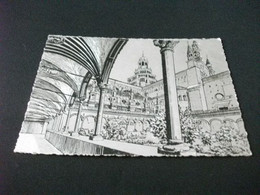 Delcampe - CERTOSA DI PAVIA IL CHISTRO PICCOLO PUBBLICITARIA E. VIGONI FABBRICA LA VERA TORTA PARADISO DI FRONTE UNIVERSITA' - Pavia