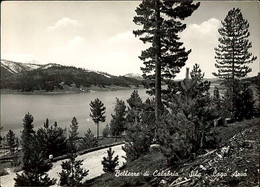 Delcampe - LAGO ARVO ( COSENZA ) EDIZIONE A.A.C. - SPEDITA 1956 (11747) - Cosenza