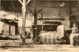 Delcampe - Carpentras * Les Pépiniaires FENOUIL Ainé * Le Hall D'emballage Pour L'exportation * Pépiniériste - Carpentras