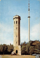 Delcampe - Dannenfels Donnersberg Gipfel Ludwigturm VW Käfer (2349) - Kirchheimbolanden