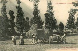 Luchon * La Fenaison * Travail Aux Champs Agriculture * Attelage Boeufs * Foin - Luchon