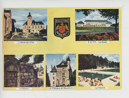 Delcampe - Egletons (Corrèze) Multivues : Hotel De Ville, E.A.T.P. Stade, Blason, Château De Maumont, Piscine - Egletons