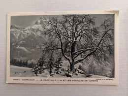 Delcampe - COMBLOUX LE PARC DU PLM P.L.M.  CLICHE SALMONA - Combloux