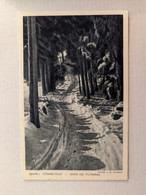 Delcampe - COMBLOUX BOIS DE PLOMMA CLICHE SALMONA - Combloux