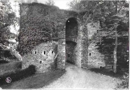 SALMCHATEAU S/SALM/ENTREE DU CHATEAU FORT DES COMTES DE SALM/NELS/CARTE PHOTO - Vielsalm