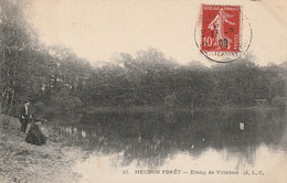 Delcampe - CPA (92 Hauts De Seine)  Meudon Forêt Etang De Villebon Pêcheurs Plan Rare Animée - Meudon