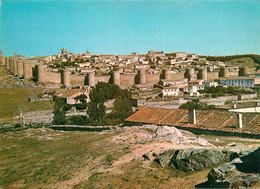 Delcampe - CPSM Avila   L1775 - Ávila