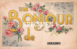Delcampe - Une Bonjour De Seraing - Seraing