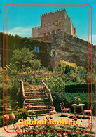 Delcampe - CPSM Ciudad Rodrigo-Jardines   L1775 - Salamanca