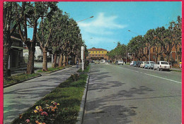 IMOLA - VIALE ANDREA COSTA - VIAGGIATA 1977 - Imola