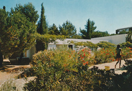 Delcampe - Le Pradet....v.v.f.  Vue Du Parc - Le Pradet