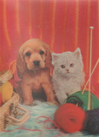 Delcampe - Dog And Cat - Chien Et Chat - 3D / Stereoscopique - Stereoskopie