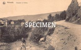 Delcampe - Chaussée De Chôdes -  Malmedy - Malmedy