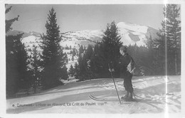 Delcampe - L'Hiver En ALLEVARD (Isère) - Le Crêt Du Poulet - Skieur - Allevard