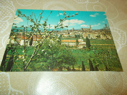 Delcampe - B673   Arezzo Panorama No Viaggiata - Arezzo